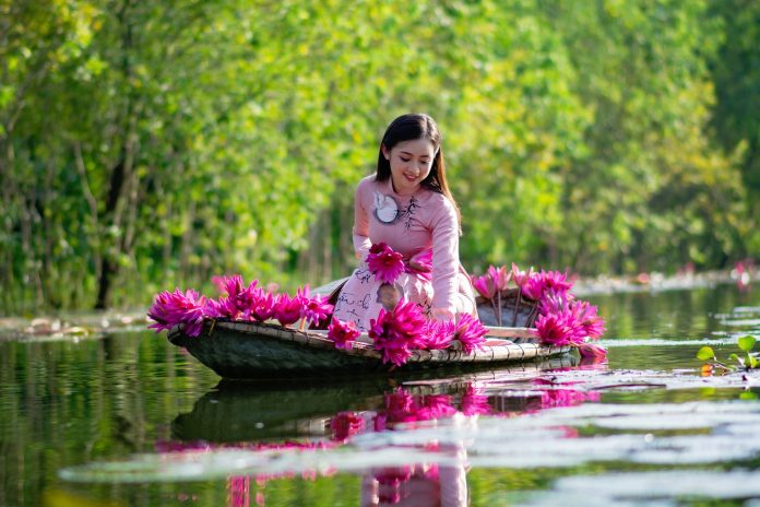 romantic brakes in vietnam